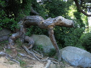 「きょうは、こんな1日」の十箇条。_b0141773_00042673.jpg