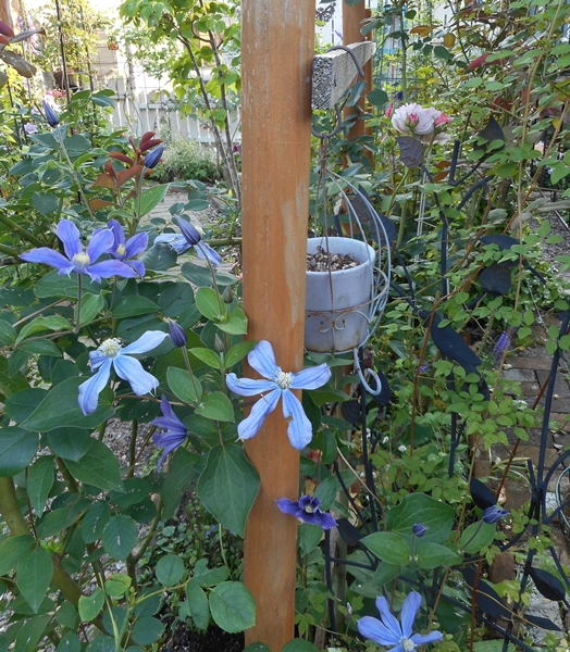f0366679_095991.jpg