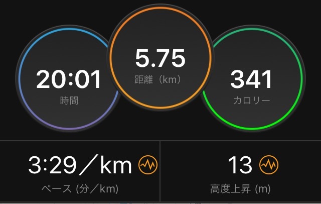 そうだ、閾値走やろう_f0310282_16560754.png