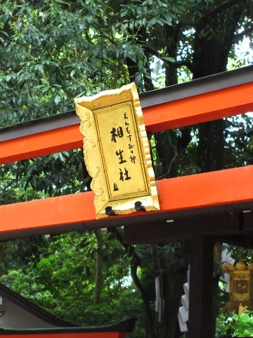 新緑の、京都 ～糺の森と 下鴨神社_d0098183_13081252.jpg