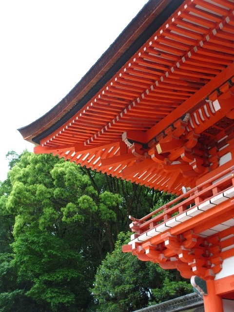 新緑の、京都 ～糺の森と 下鴨神社_d0098183_13110409.jpg