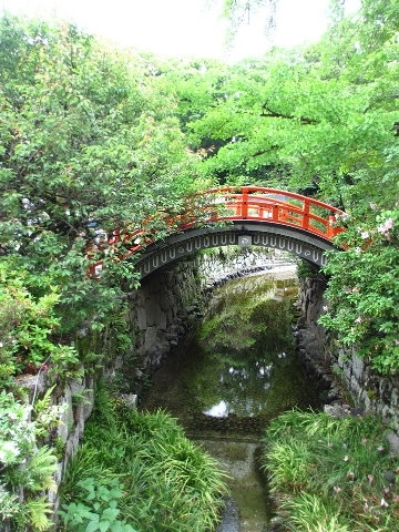 新緑の、京都 ～糺の森と 下鴨神社_d0098183_14262351.jpg