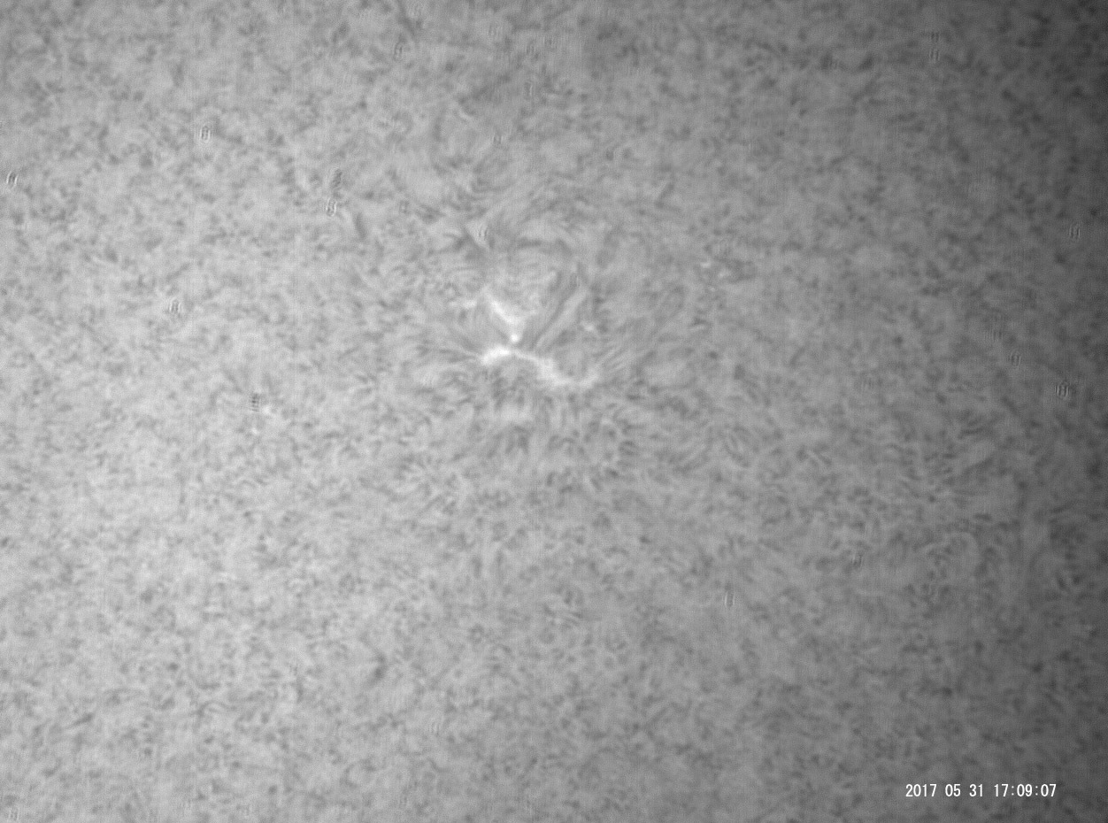5月31日の太陽_e0174091_19203284.jpg