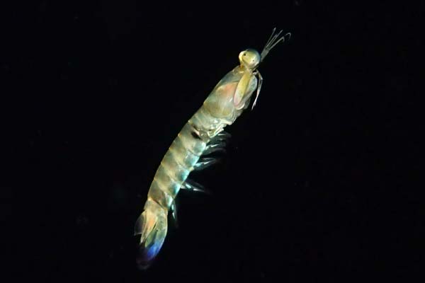 f0121701_1949036.jpg