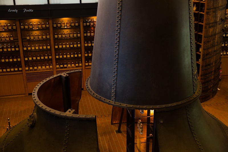 d0257606_19514816.jpg