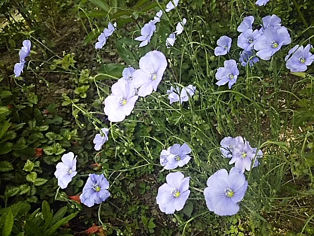 f0316507_09194559.jpg