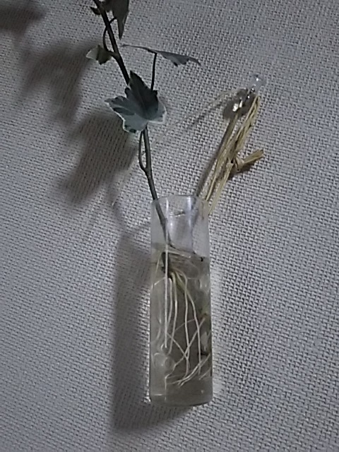 f0316507_10584290.jpg