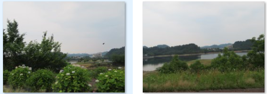 f0231709_01541933.png