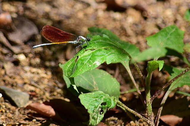 f0368610_23492203.jpg