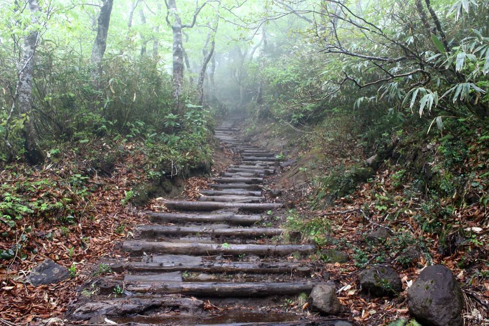 秋田駒ヶ岳へ登るが途中で断念_f0212511_22554454.jpg