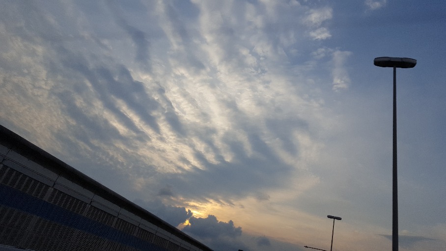 敬愛する..._f0126121_7571392.jpg