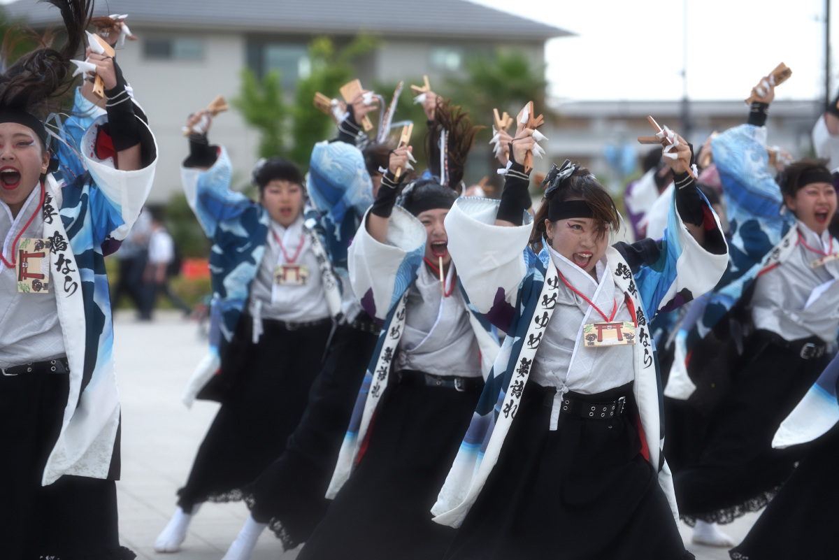 ちばYOSAKOI 2017 合同お披露目会＆公開練習　「鴉」さん_c0276323_14224518.jpg