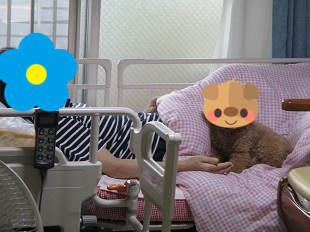 b0320131_15433217.png