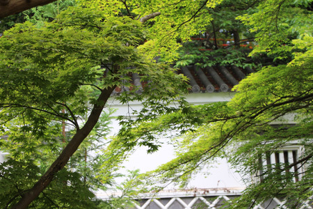 新緑の信貴山朝護孫子寺_b0165935_11071977.jpg