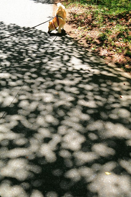 e0365036_14053206.jpg