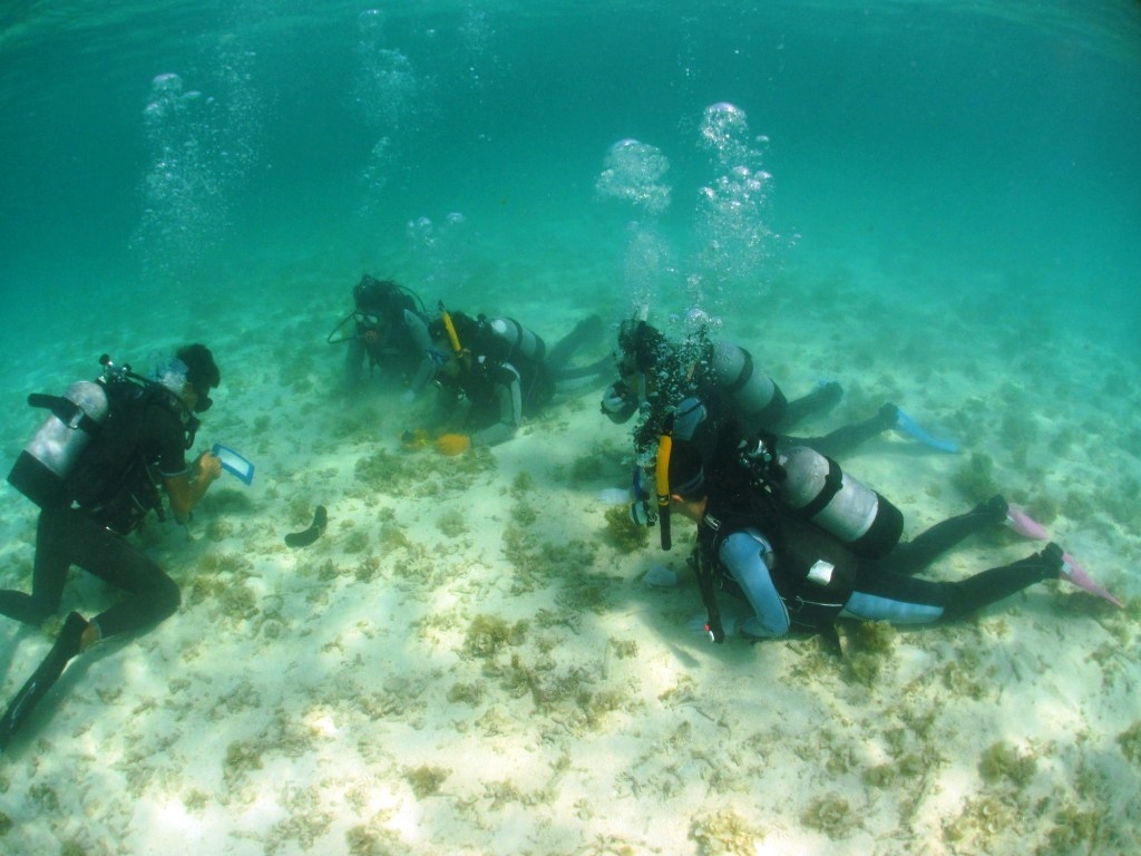 a0189838_19150748.jpg