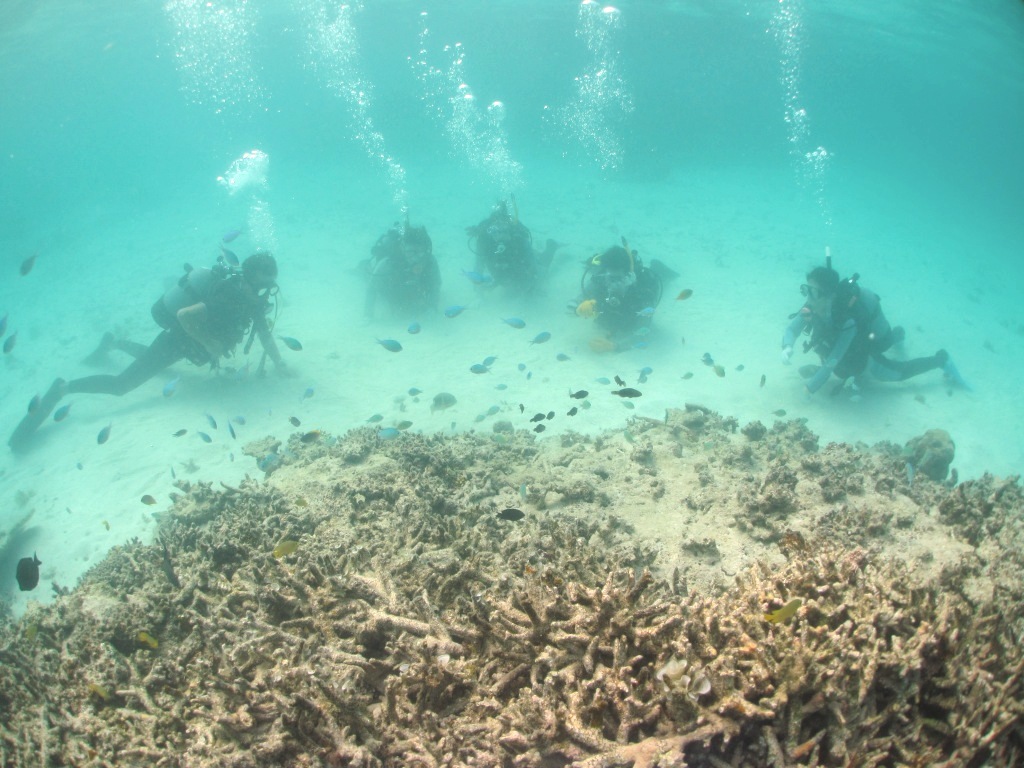 a0189838_19172318.jpg