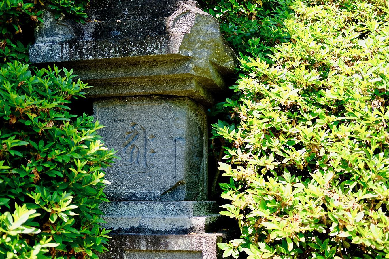 【重要文化財｜安養院 宝篋印塔】　行き方、見学のしかた　（鎌倉市）_b0212342_19071146.jpg