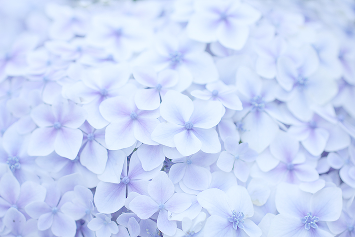 Happy*フォトレッスン_b0049843_8155634.jpg