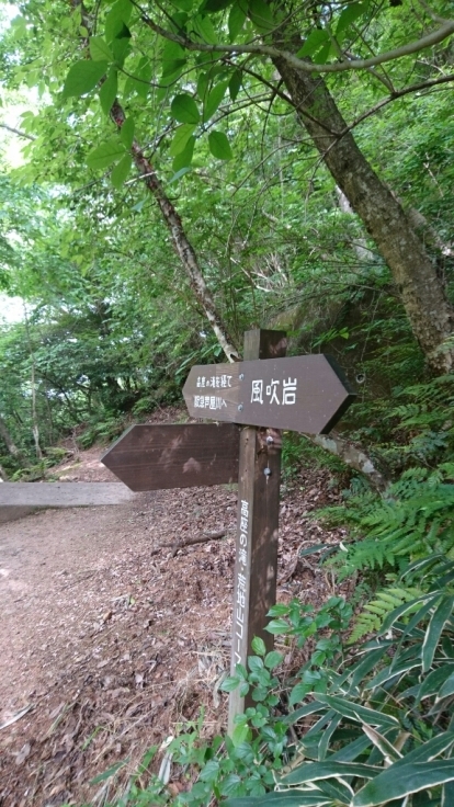 六甲　芦屋川駅～地獄谷〜荒地山～芦屋川駅_b0148050_18564099.jpg