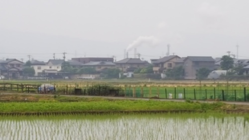 6月1日（木）細かい雨の田んぼを歩いています。_e0327460_06070807.jpg