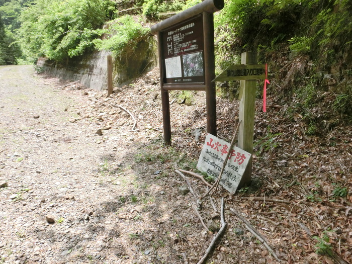 No468 ドウザンツツジ咲く福井頭巾山（ときんざん）_b0185573_18035.jpg