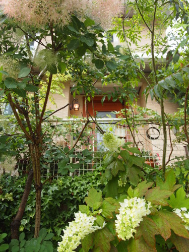d0279976_09064562.jpg