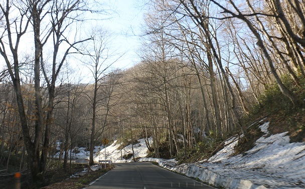 f0230777_16411368.jpg