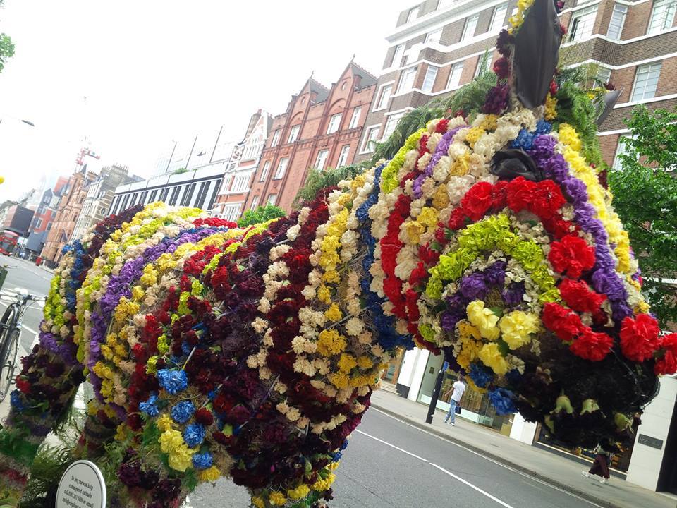 Chelsea in Bloom 2017_a0067582_03514224.jpg