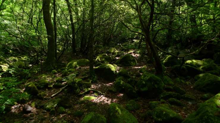 c0212083_12414828.jpg