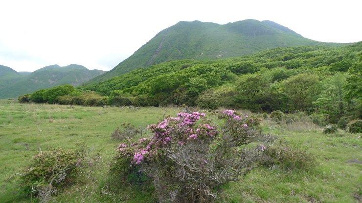 c0212083_12420953.jpg