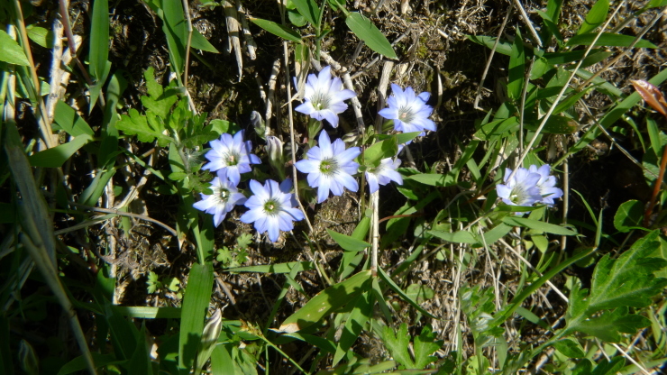 c0212083_12553895.jpg