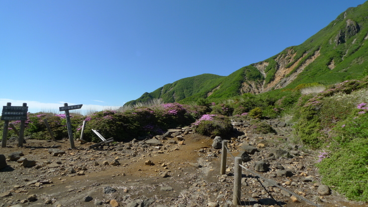 c0212083_12561030.jpg
