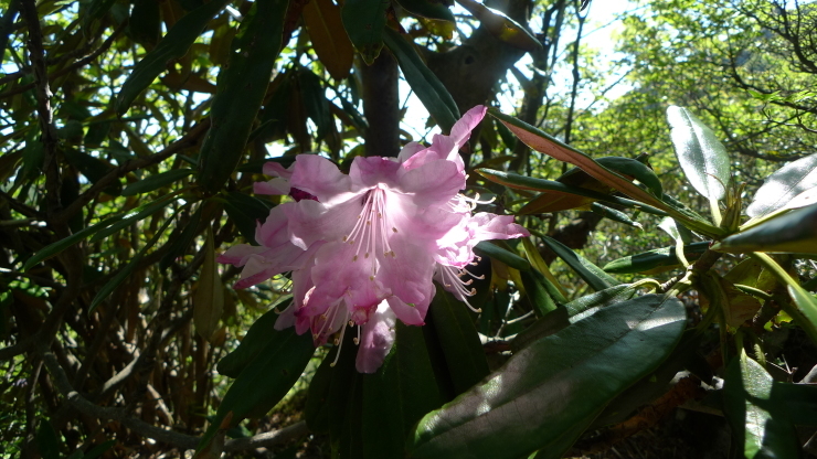 c0212083_14315818.jpg