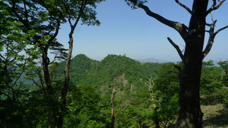 c0212083_15271112.jpg