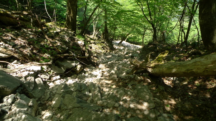 c0212083_15284065.jpg