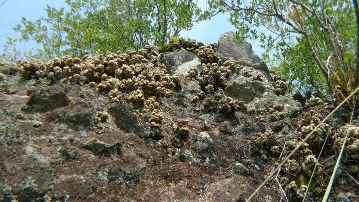 c0212083_16122653.jpg