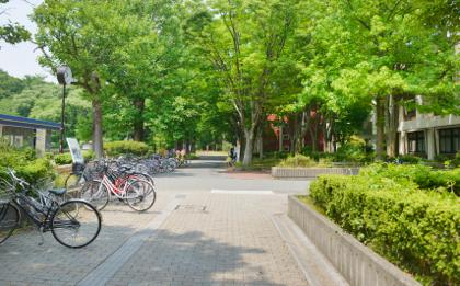 書の撮影で展覧会会場に行ったり.....取材撮影で...._b0194185_2240773.jpg