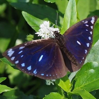 b0194593_09005380.jpg