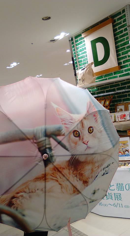 東急ハンズ梅田店『パンダと猫の雑貨展』猫作品たっぷりご紹介_d0322493_23552424.jpg