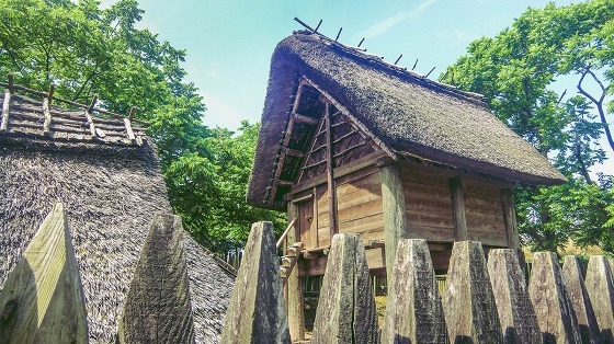 e0176993_06015905.jpg