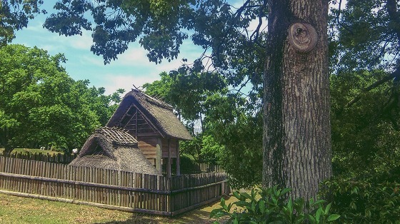 e0176993_06015990.jpg