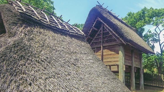 e0176993_06020004.jpg
