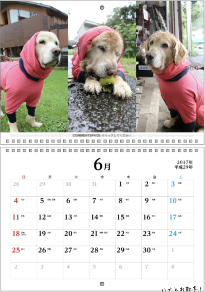 b0275998_15494865.png