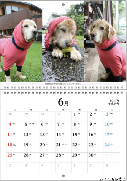 野望を果たす犬と水浴びする者たち♪_b0275998_15494865.png