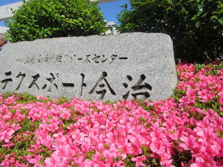 皐月躑躅 さつきつつじ と平戸つつじの違い 17 5 30 徳ちゃん便り