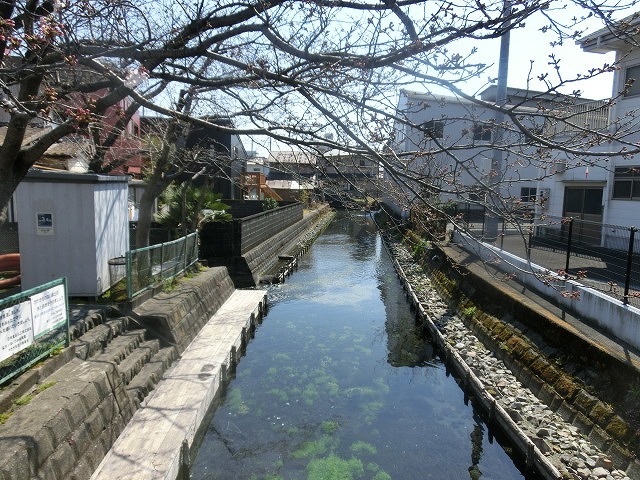 富士市の清流・田宿川の新しい親水護岸が完成！_f0141310_07280639.jpg