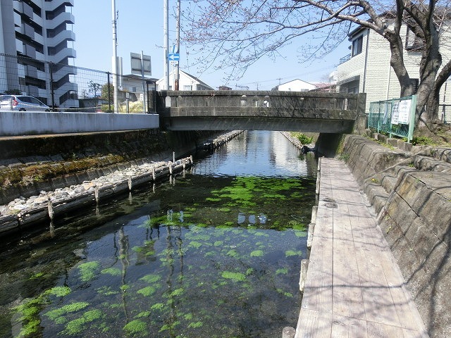 富士市の清流・田宿川の新しい親水護岸が完成！_f0141310_07281676.jpg