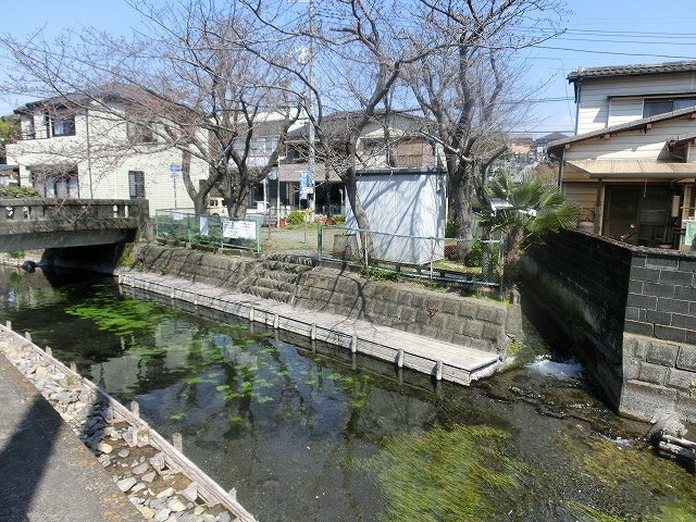 富士市の清流・田宿川の新しい親水護岸が完成！_f0141310_07285515.jpg