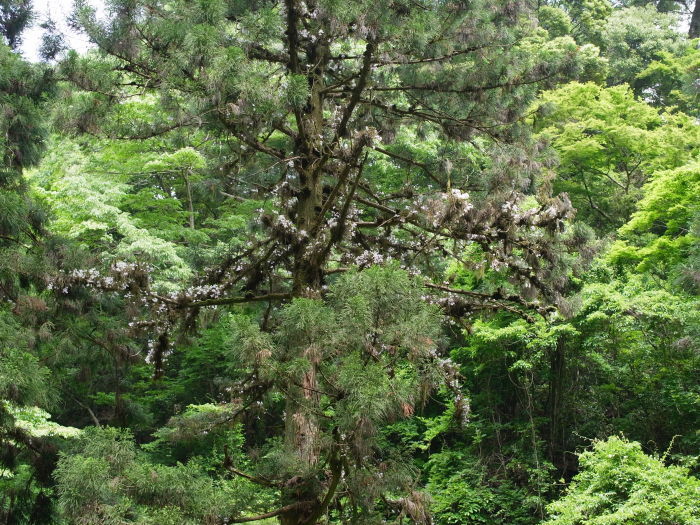 e0276411_23485246.jpg